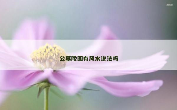 公墓陵園有風(fēng)水說法嗎