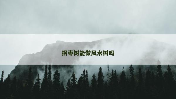 拐棗樹能做風水樹嗎