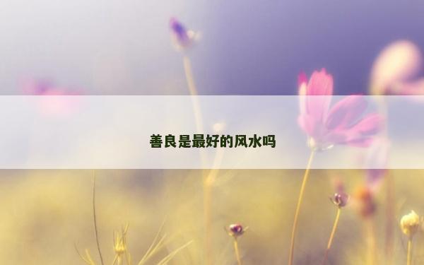 善良是最好的風水嗎