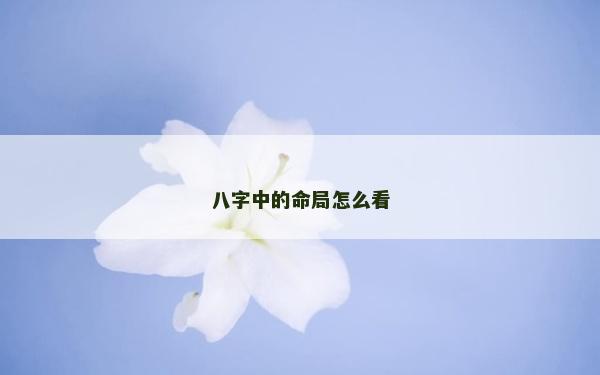 八字中的命局怎么看