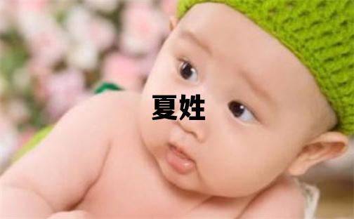 夏姓有靈氣的男孩名字