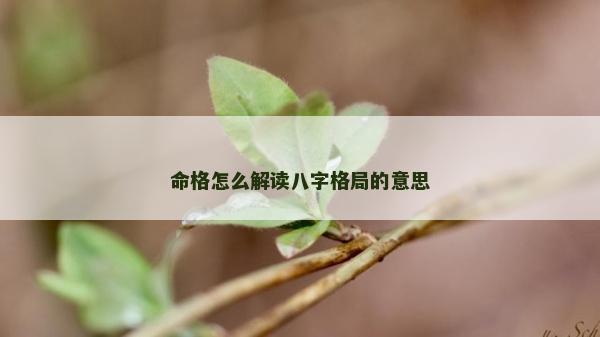 命格怎么解讀八字格局的意思
