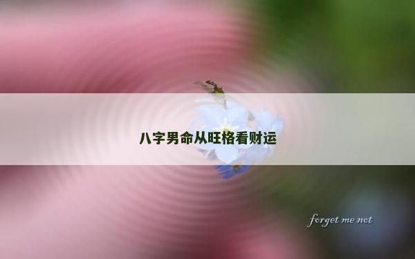 八字男命從旺格看財(cái)運(yùn)