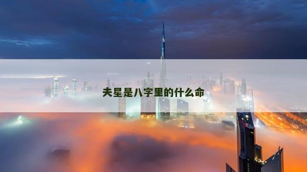 夫星是八字里的什么命