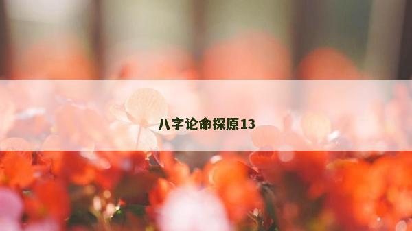 八字論命探原13