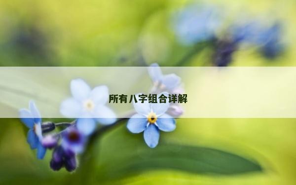 所有八字組合詳解