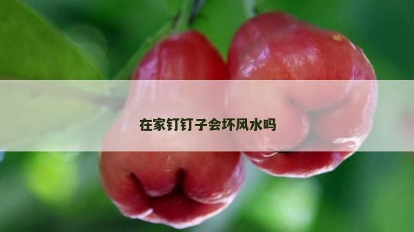 在家釘釘子會壞風水嗎