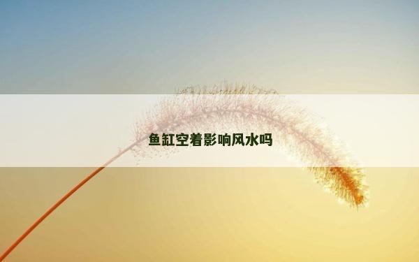 魚缸空著影響風水嗎