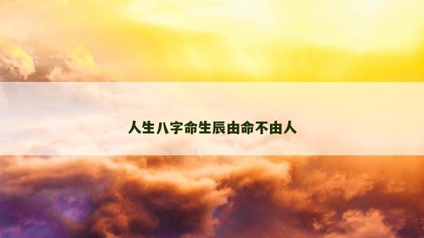 人生八字命生辰由命不由人