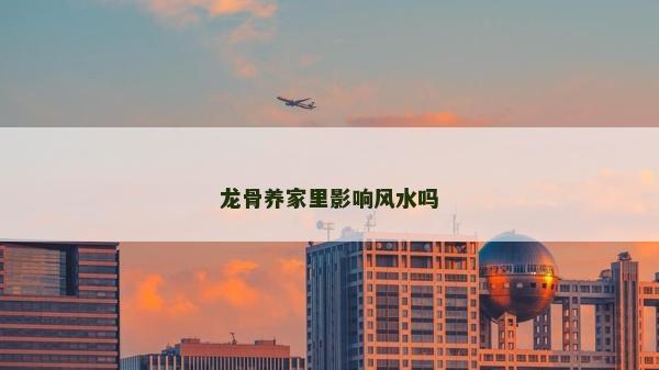 龍骨養家里影響風水嗎
