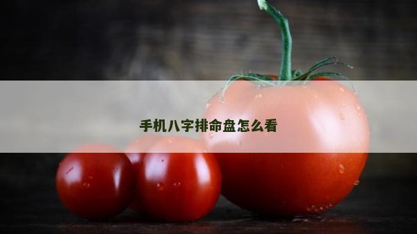 手機八字排命盤怎么看