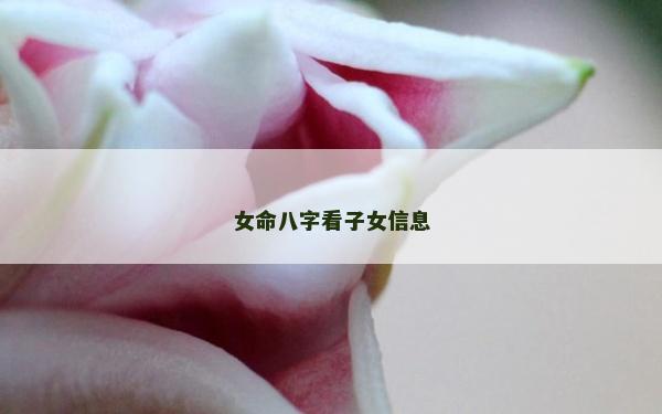 女命八字看子女信息