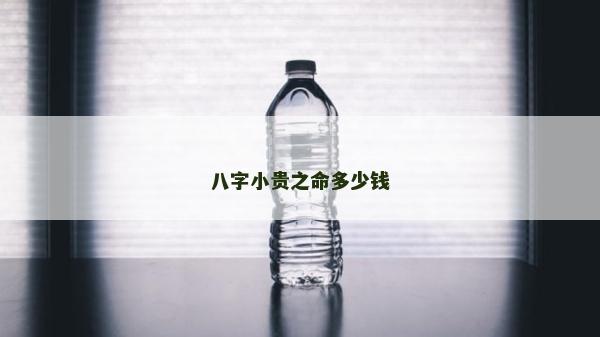 八字小貴之命多少錢