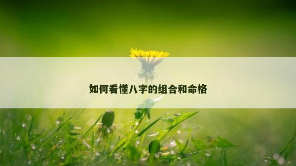 如何看懂八字的組合和命格
