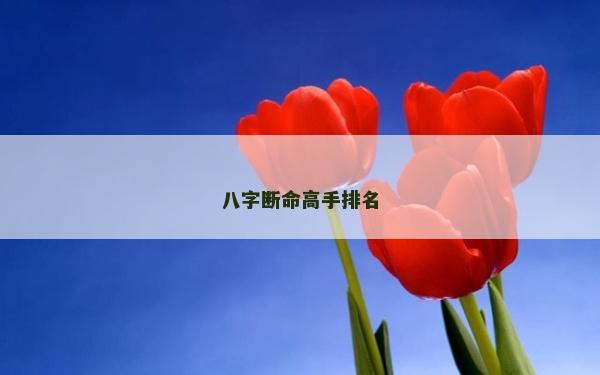 八字斷命高手排名