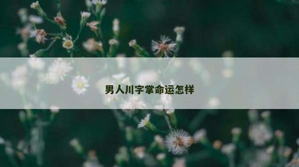 男人川字掌命運怎樣