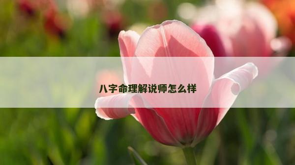 八字命理解說師怎么樣