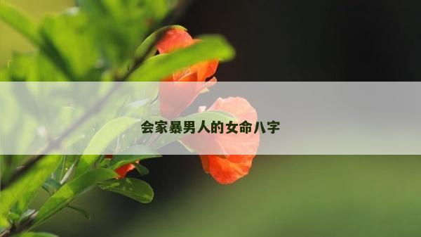 會(huì)家暴男人的女命八字