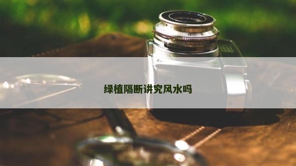 綠植隔斷講究風(fēng)水嗎