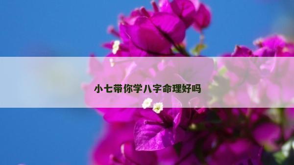 小七帶你學八字命理好嗎