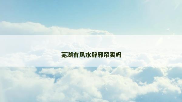 蕪湖有風水辟邪簾賣嗎
