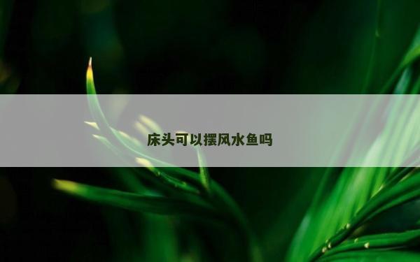 床頭可以擺風水魚嗎