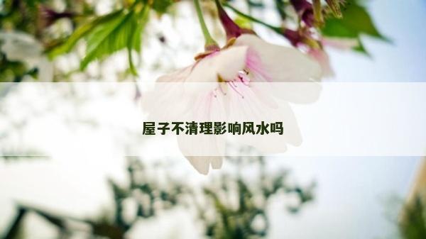 屋子不清理影響風(fēng)水嗎