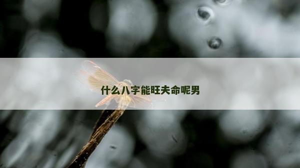 什么八字能旺夫命呢男
