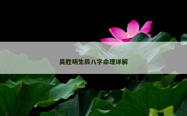 吳勝明生辰八字命理詳解