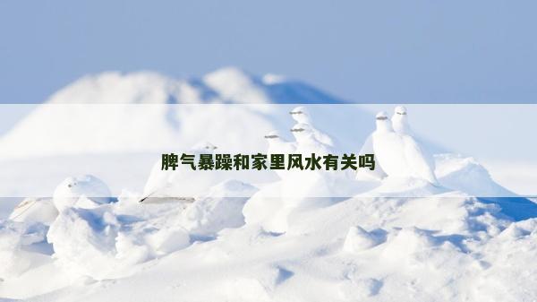 脾氣暴躁和家里風水有關嗎
