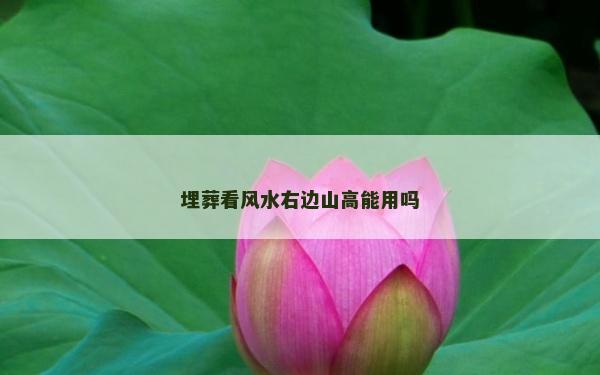 埋葬看風水右邊山高能用嗎 埋葬看風水右邊山高能用嗎