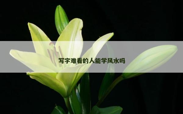 寫字難看的人能學(xué)風(fēng)水嗎