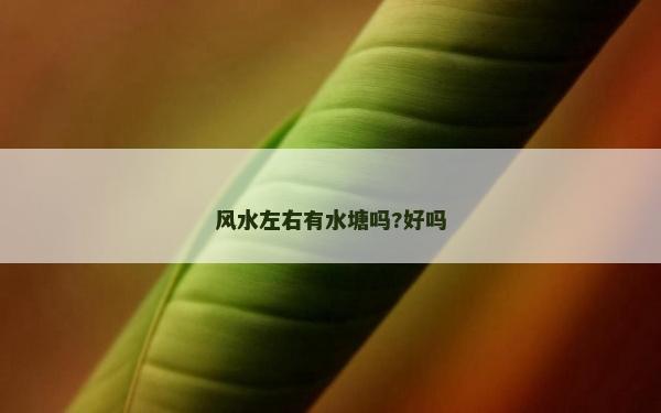 風水左右有水塘嗎?好嗎