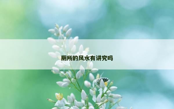 廁所的風水有講究嗎 廁所的風水有講究嗎