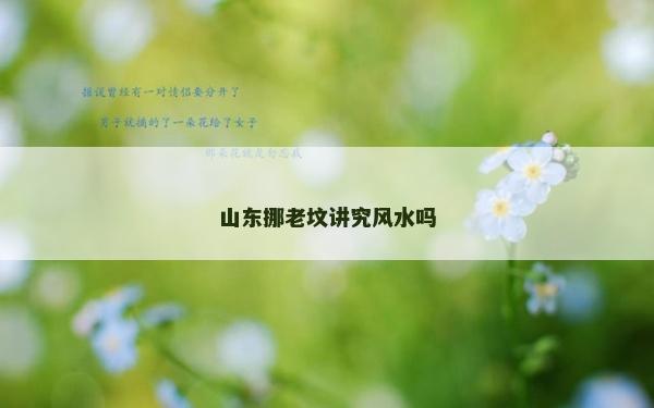 山東挪老墳講究風水嗎
