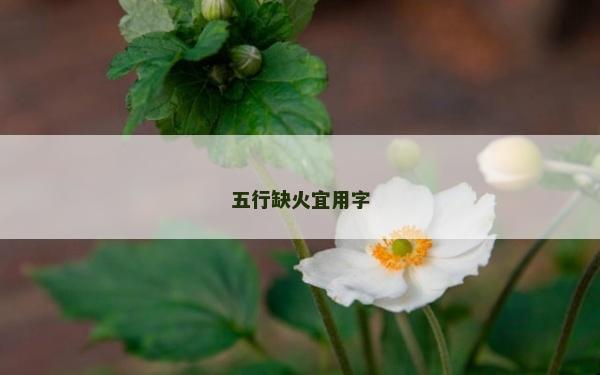 五行缺火宜用字