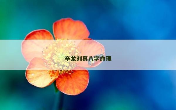 辛龍劉真八字命理 辛龍劉真八字命理