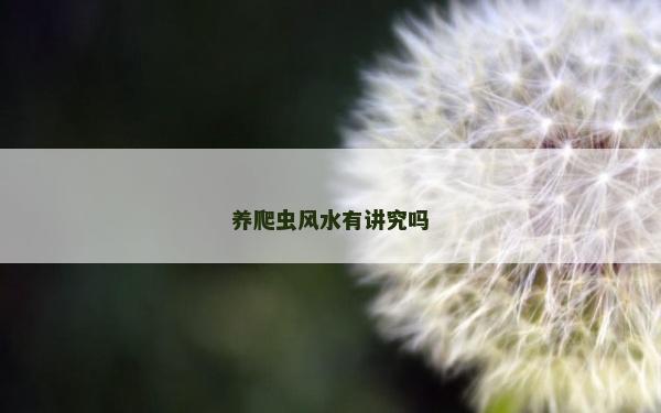 養爬蟲風水有講究嗎