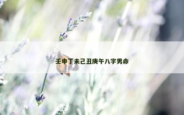 壬申丁未己丑庚午八字男命