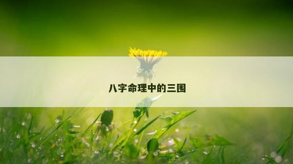 八字命理中的三圍