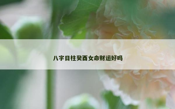 八字日柱癸酉女命財運好嗎