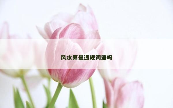 風水算是違規詞語嗎 風水算是違規詞語嗎