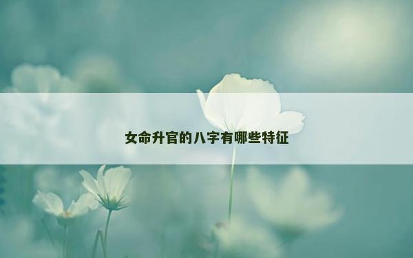 女命升官的八字有哪些特征