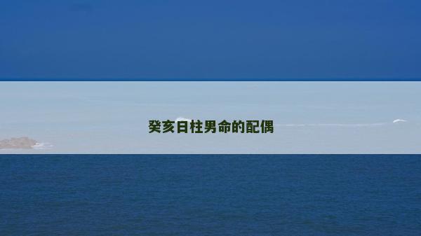 癸亥日柱男命的配偶