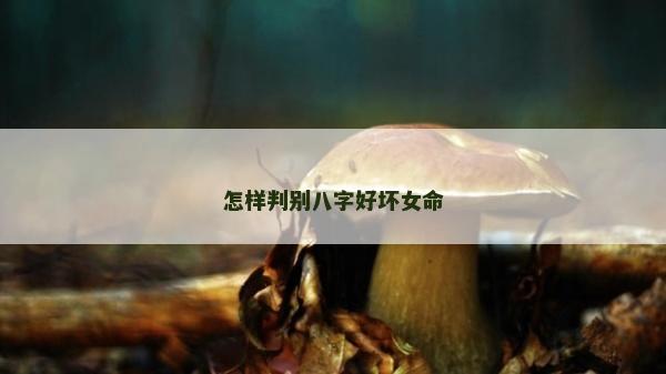 怎樣判別八字好壞女命 怎樣判別八字好壞女命