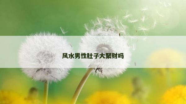 風(fēng)水男性肚子大聚財(cái)嗎