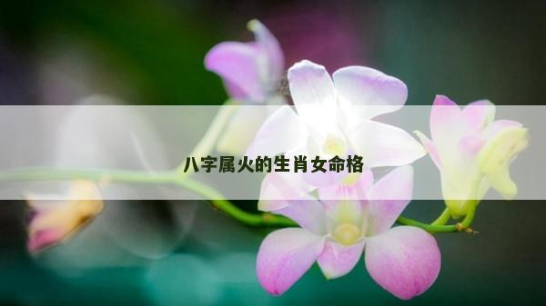八字屬火的生肖女命格
