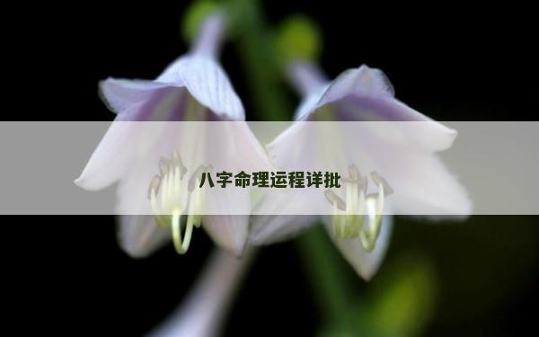 八字命理運程詳批