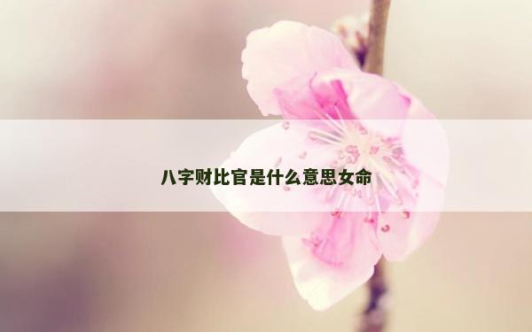 八字財(cái)比官是什么意思女命