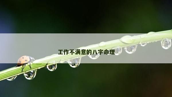 工作不滿意的八字命理